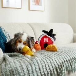 Frisco Fall Farmhouse Hide & Seek Puzzle Plush Squeaky Dog Toy -Dog Supply Store 285629 PT3. AC SS1800 V1629725107
