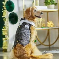 Wagatude Star Print Dog Vest -Dog Supply Store 286844 PT5. AC SS1800 V1631064736