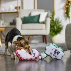 Frisco Holiday Thought Bubble Plush Squeaky Dog Toy, 2 Count -Dog Supply Store 287195 PT3. AC SS1800 V1632772983