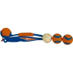 Chuckit! National Fetch Day Gearbox Dog Toy -Dog Supply Store 297206 PT2. AC SS1800 V1626732380