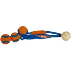 Chuckit! National Fetch Day Gearbox Dog Toy -Dog Supply Store 297206 PT3. AC SS1800 V1626732368