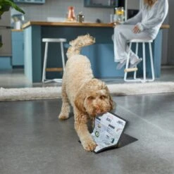 Frisco Brunch Menu Ballistic Nylon Flat Plush Squeaky Dog Toy -Dog Supply Store 297276 PT2. AC SS1800 V1642088788