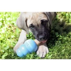 KONG Puppy Activity Ball Dog Toy, Color Varies & KONG Stuff'N Puppy Ziggies Dog Treats 17 KONG Puppy Activity Ball Dog Toy, Color Varies & KONG Stuff'N Puppy Ziggies Dog Treats -Dog Supply Store 298188 PT8. AC SS1800 V1621303337