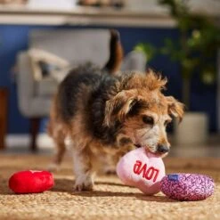 Frisco Valentine Hearts Plush Squeaky Dog Toy -Dog Supply Store 298919 PT3. AC SS1800 V1701365170