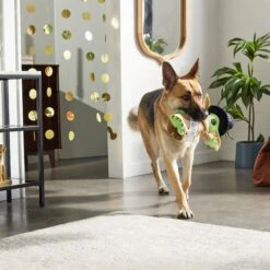 STAR WARS New Year's Eve THE MANDALORIAN GROGU Ballistic Nylon Plush Squeaky Dog Toy -Dog Supply Store 298975 PT2. AC SS1800 V1637767146