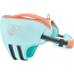 Frisco Active Dog Life Jacket & Frisco Foam Rubber Floating Fetch Ball No Squeak Dog Toy -Dog Supply Store 303364 PT2. AC SS1800 V1623163059