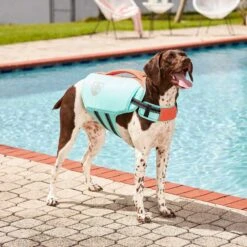 Frisco Active Dog Life Jacket & Frisco Foam Rubber Floating Fetch Ball No Squeak Dog Toy -Dog Supply Store 303364 PT3. AC SS1800 V1623163058