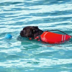 Frisco Shark Dog Life Jacket & Frisco Foam Rubber Floating Fetch Ball No Squeak Dog Toy -Dog Supply Store 303590 PT7. AC SS1800 V1623040948