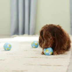 Frisco Easter Fetch Squeaky Tennis Ball Dog Toy, Medium, 3 Count -Dog Supply Store 304964 PT4. AC SS1800 V1703184745