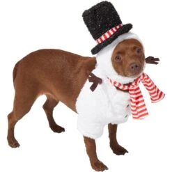 Frisco Front Walking Snowman Dog & Cat Costume -Dog Supply Store 306569 PT3. AC SS1800 V1631660597