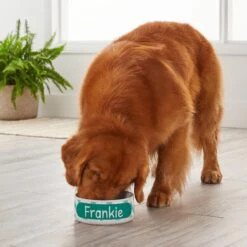 Frisco Personalized Chevron Ceramic Dog Bowl, 4.75-cup, 38oz 9 Frisco Personalized Chevron Ceramic Dog Bowl, 4.75-cup, 38oz -Dog Supply Store 306761 PT4. AC SS1800 V1639518108