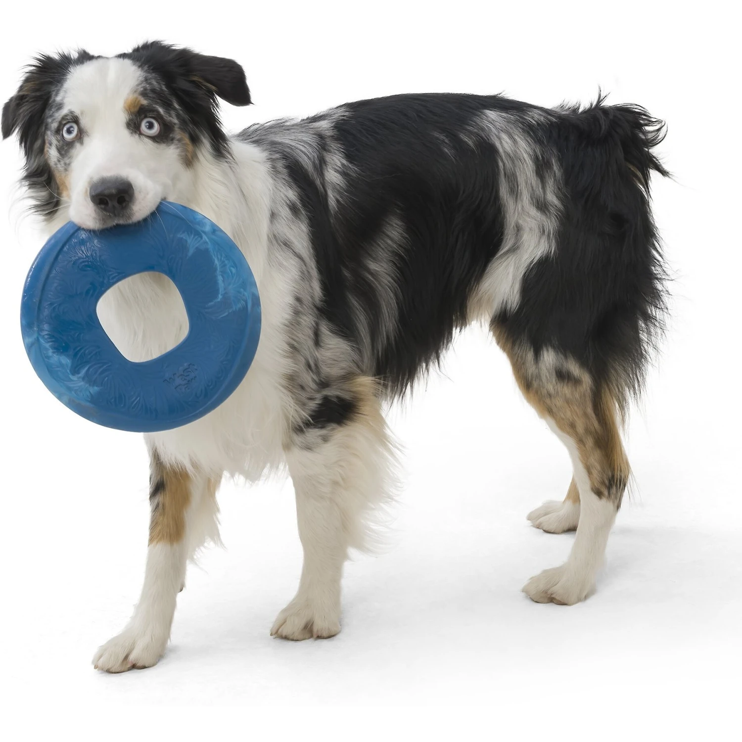 West Paw Sailz Dog Fetch Toy, Large 2 West Paw Sailz Dog Fetch Toy, Large - Image 2