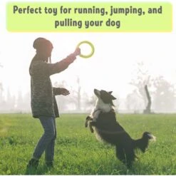PetSpy Fitness Ring Dog Toy 10 PetSpy Fitness Ring Dog Toy -Dog Supply Store 309601 PT4. AC SS1800 V1624663053