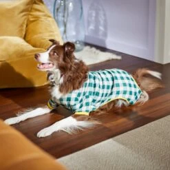 Frisco Boho Gingham Dog & Cat PJs -Dog Supply Store 312272 PT8. AC SS1800 V1644880063