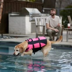 Frisco Ripstop Dog Life Jacket, Pink -Dog Supply Store 312380 PT8. AC SS1800 V1649275938