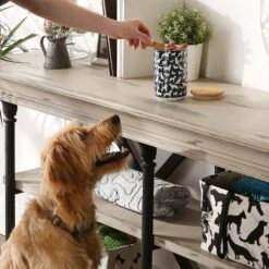 Bone Dry Ceramic Show Dog Treat Canister -Dog Supply Store 313409 PT4. AC SS1800 V1631774826