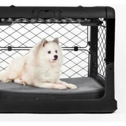 Diggs Revol Collapsible Dog Crate 12 Diggs Revol Collapsible Dog Crate -Dog Supply Store 313497 PT6. AC SS1800 V1627305988