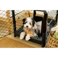 Diggs Revol Collapsible Dog Crate 13 Diggs Revol Collapsible Dog Crate -Dog Supply Store 313497 PT7. AC SS1800 V1627307482