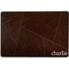 904 Custom Personalized Modern Geometric Woodgrain Dog & Cat Placemat
