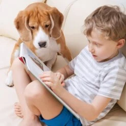 Pet Adobe Carpeted Folding Dog & Cat Steps -Dog Supply Store 314936 PT4. AC SS1800 V1626397907