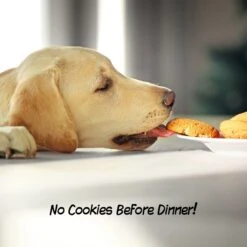 Pet Adobe 3-Panel Freestanding Folding Dog & Cat Gate 12 Pet Adobe 3-Panel Freestanding Folding Dog & Cat Gate -Dog Supply Store 314950 PT4. AC SS1800 V1626393970