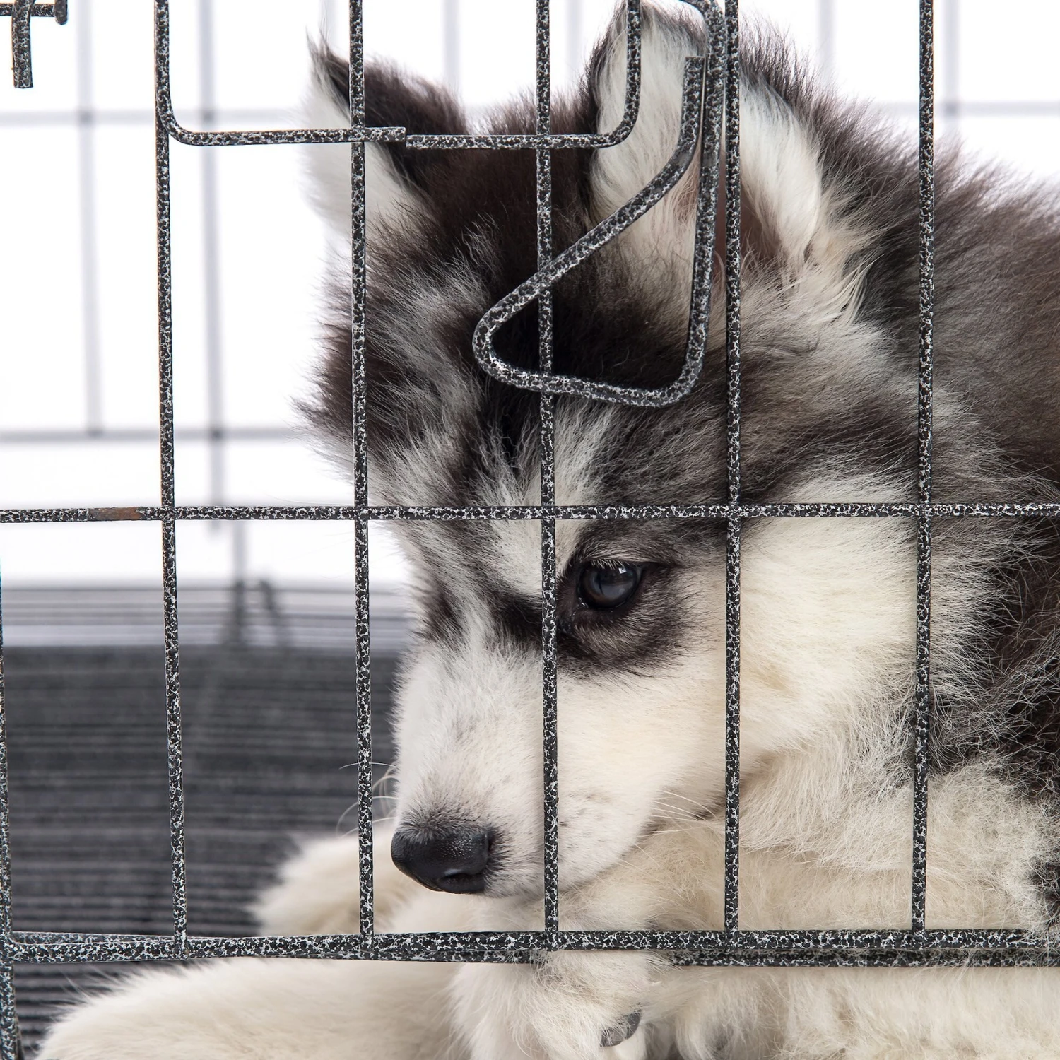 Pet Adobe Hanging Dog Bowl Set 6 Pet Adobe Hanging Dog Bowl Set - Image 6