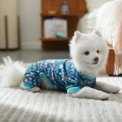 Frisco Celebration Dog & Cat PJs 9 Frisco Celebration Dog & Cat PJs -Dog Supply Store 315105 PT8. AC SS1800 V1646437758