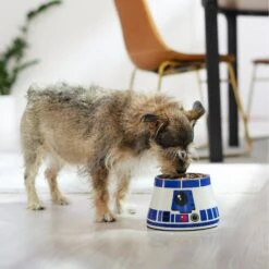 STAR WARS R2-D2 Elevated Melamine Stainless Steel Dog & Cat Bowl, 1.5 Cup -Dog Supply Store 315278 PT2. AC SS1800 V1647281494