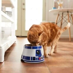 STAR WARS R2-D2 Elevated Melamine Stainless Steel Dog & Cat Bowl, 1.5 Cup -Dog Supply Store 315278 PT3. AC SS1800 V1647283296