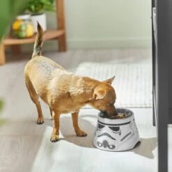 STAR WARS STORMTROOPER Melamine Elevated Stainless Steel Dog & Cat Bowl, 1.5 Cup -Dog Supply Store 315280 PT2. AC SS1800 V1647283853