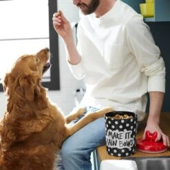 Disney Minnie Mouse Peek-A-Boo Melamine Dog & Cat Treat Jar -Dog Supply Store 315289 PT2. AC SS1800 V1647282455