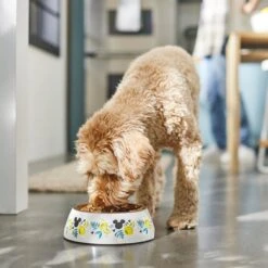 Disney Mickey Mouse Lemon Melamine Stainless Steel Dog & Cat Bowl -Dog Supply Store 315295 PT2. AC SS1800 V1647282906