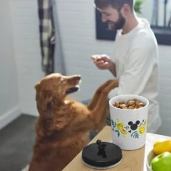 Disney Mickey Mouse Lemon Melamine Dog & Cat Treat Jar -Dog Supply Store 315302 PT2. AC SS1800 V1647282011