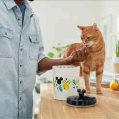 Disney Mickey Mouse Lemon Melamine Dog & Cat Treat Jar -Dog Supply Store 315302 PT3. AC SS1800 V1647283698