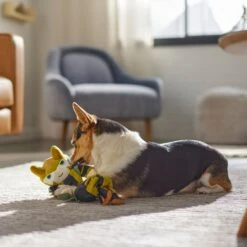 Marvel 's Loki Bungee Plush Squeaky Dog Toy -Dog Supply Store 316398 PT3. AC SS1800 V1645205947