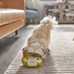 Marvel 's Loki Round Plush Squeaky Dog Toy -Dog Supply Store 316400 PT3. AC SS1800 V1645205643