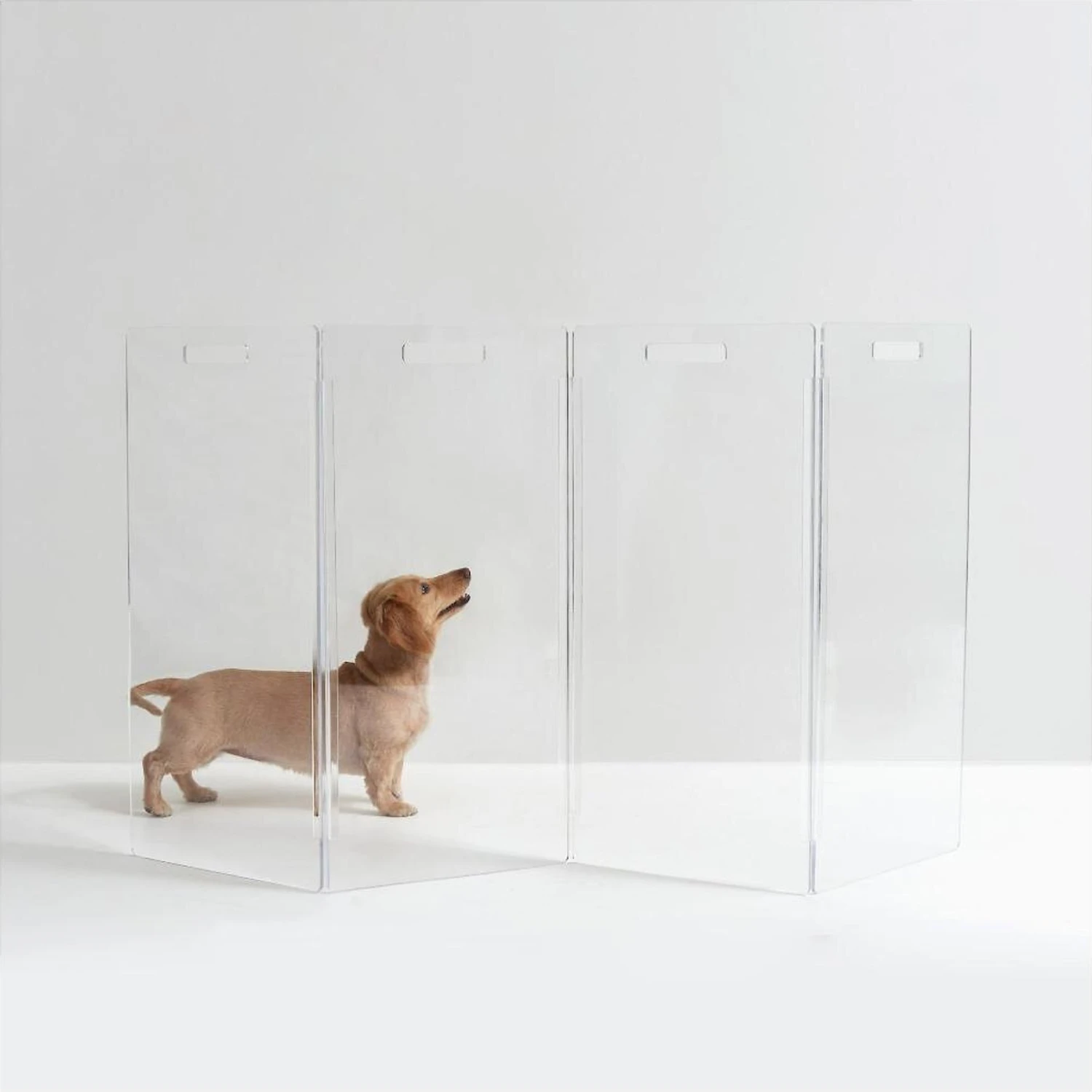 Hiddin Clear View Zig Zag Freestanding Dog & Cat Gate 1 Hiddin Clear View Zig Zag Freestanding Dog & Cat Gate