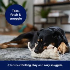 Frisco Realistic Opossum Plush Squeaky Dog Toy -Dog Supply Store 316929 PT4. AC SS1800 V1695760990