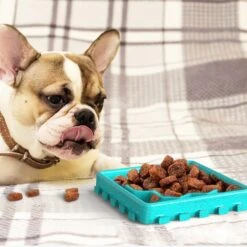 Hanamya Slow Treat Dispensing Dog & Cat Mat -Dog Supply Store 317946 PT2. AC SS1800 V1628029604