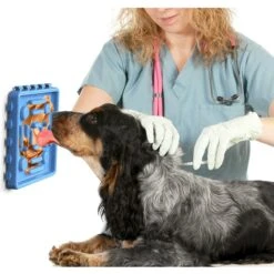 Hanamya Slow Treat Dispensing Dog & Cat Mat -Dog Supply Store 317946 PT5. AC SS1800 V1628030302