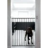 Scandinavian Pet Streamline Extra Tall Wall Mounted Dog Gate