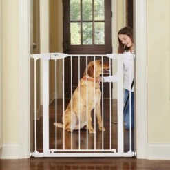MyPet Tall Happy Tails Walk Thru Dog Gate, 36-in, White