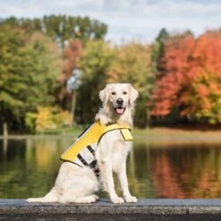 GF Pet Life Vest Dog Jacket, Yellow 13 GF Pet Life Vest Dog Jacket, Yellow -Dog Supply Store 325440 PT6. AC SS1800 V1630556509