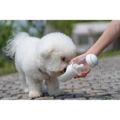 Pet Life PYURE Handheld Travel Filtered Water Dog & Cat Feeder 9 Pet Life PYURE Handheld Travel Filtered Water Dog & Cat Feeder -Dog Supply Store 328514 PT4. AC SS1800 V1631312222