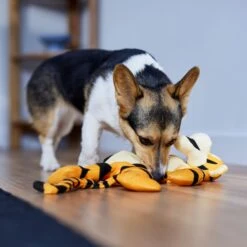 Disney Tigger Bungee Plush Squeaky Dog Toy -Dog Supply Store 328769 PT3. AC SS1800 V1657718551