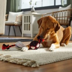 Marvel 's Miles Morales & Ghost Spider Plush With Rope Squeaky Dog Toy -Dog Supply Store 328785 PT3. AC SS1800 V1659031888