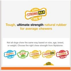 Nylabone Strong MAX Chew Cone Stuffable Chew Toy For Dogs MAX Rubber Stuffable Cone Beef Max -Dog Supply Store 329491 PT3. AC SS1800 V1696515981