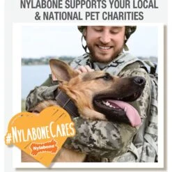 Nylabone Strong MAX Chew Cone Stuffable Chew Toy For Dogs MAX Rubber Stuffable Cone Beef Max -Dog Supply Store 329491 PT6. AC SS1800 V1696516044