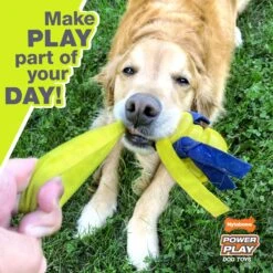 Nylabone Power Play Dog Baseball Gripz Dog Toy -Dog Supply Store 329493 PT3. AC SS1800 V1685647812