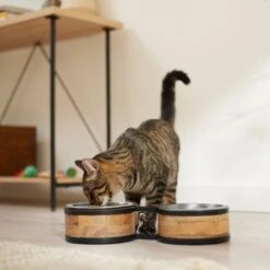 Frisco Premium Elevated Bone Design Stainless Steel Double Diner Dog & Cat Bowl -Dog Supply Store 331499 PT3. AC SS1800 V1657656892